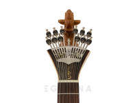 APC GF312LScabeça APC GF312LScabeça